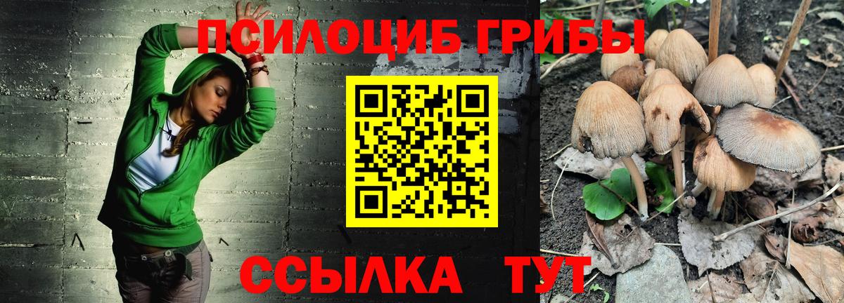 Галлюциногенные грибы ЛСД  Вход с VPN  купить закладку  Орехово-Зуево 